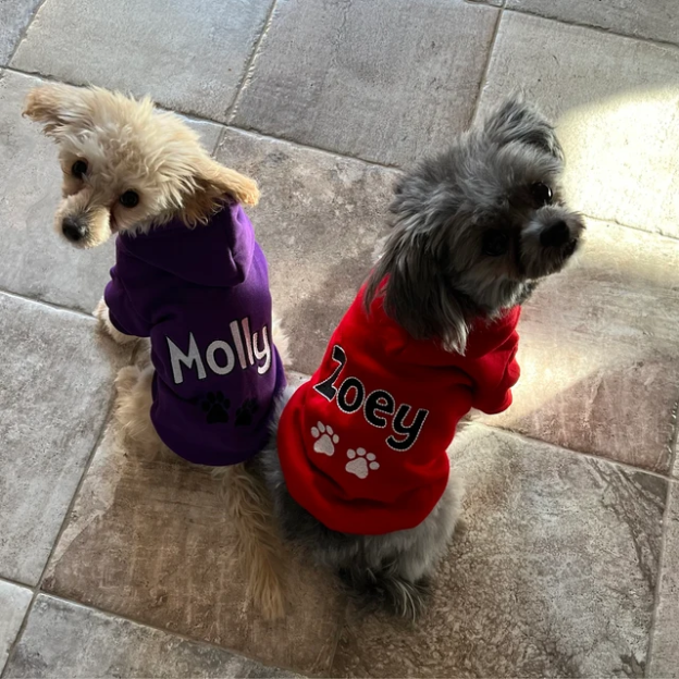 Personalized Warm Puppy Hoodie for Comfort & Unique | BKPet28