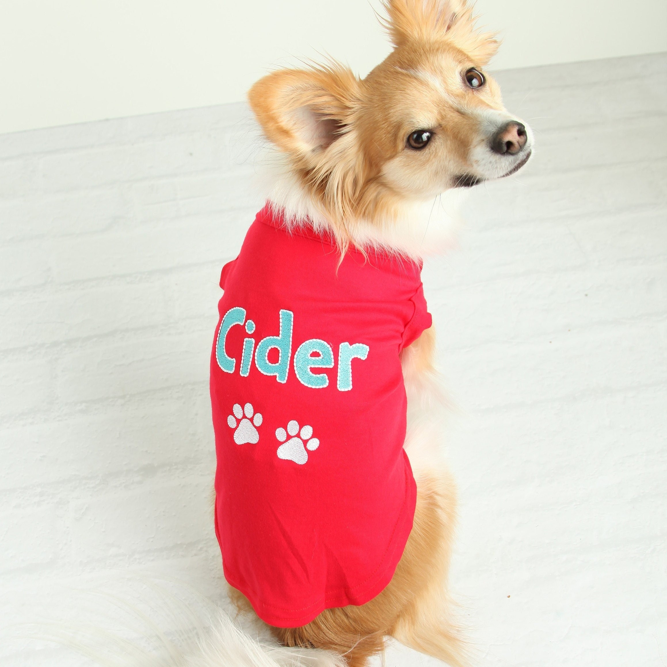 Personalized Soft Puppy Shirt for Comfort & Unique | BKPet50