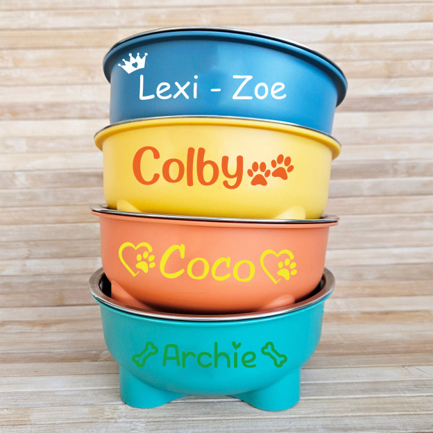 Personalized Stainless Steel Pet Food Bowl  | BKPet64