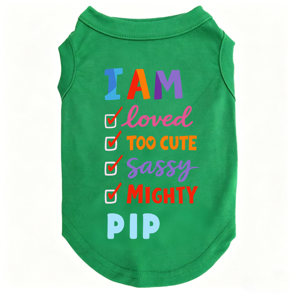Personalized I AM Loved Checklist Pet Shirt | MNCloth208