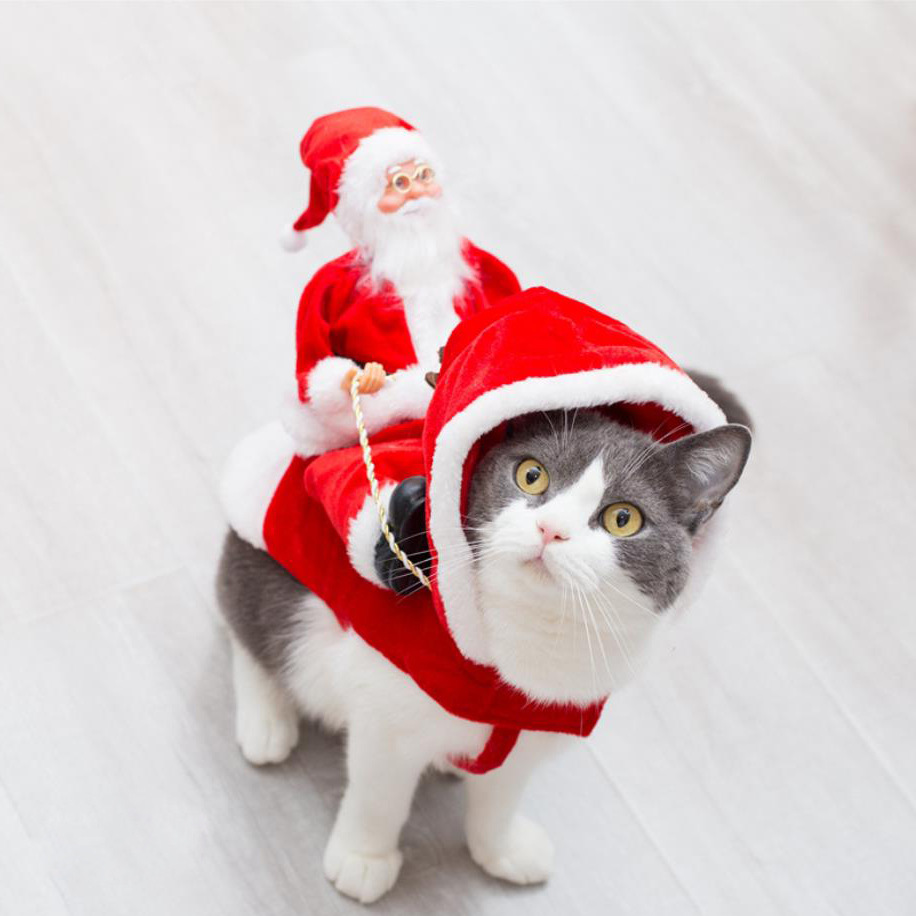 Personalized Christmas Santa Pet Riding Clothes | BKPet96