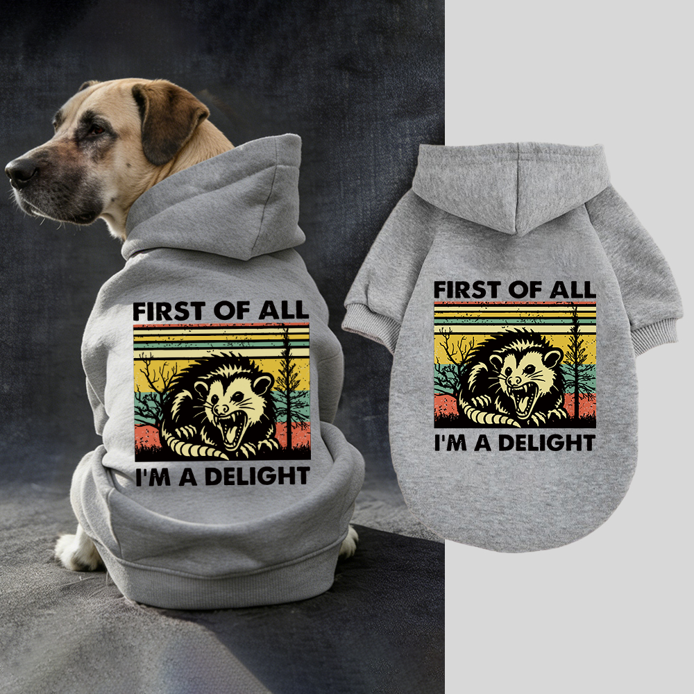 FIRST OF ALL I'M A DELIGHT Puppy Hoodie | BKPet331