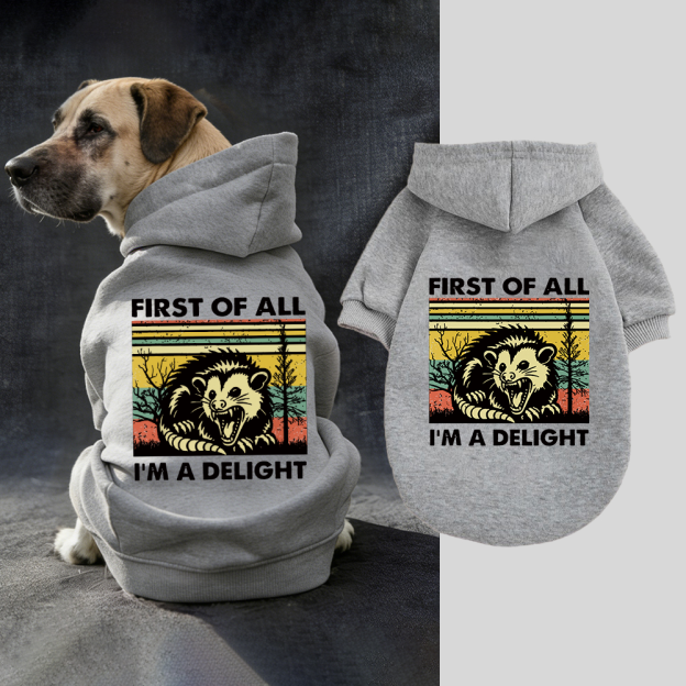 FIRST OF ALL I'M A DELIGHT Puppy Hoodie | BKPet331