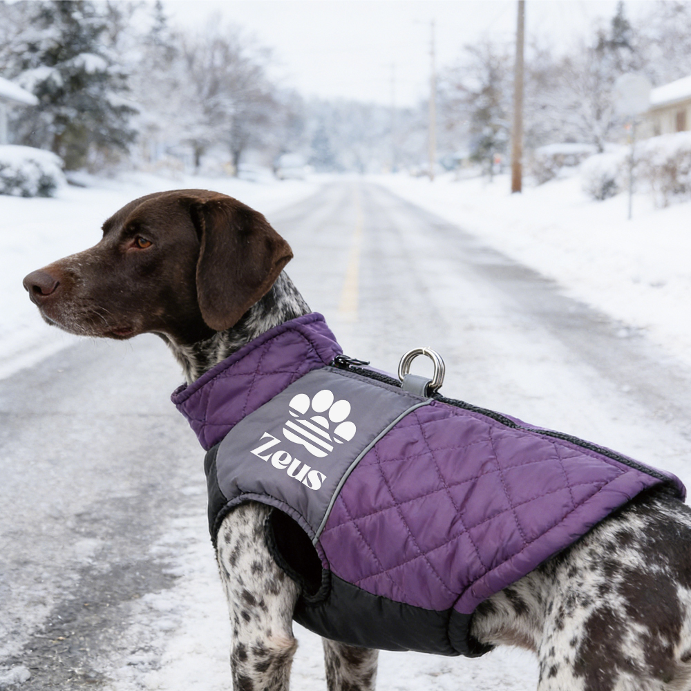 Personalized Pet Winter Warm Windproof Puffer Jacket | BKPet348