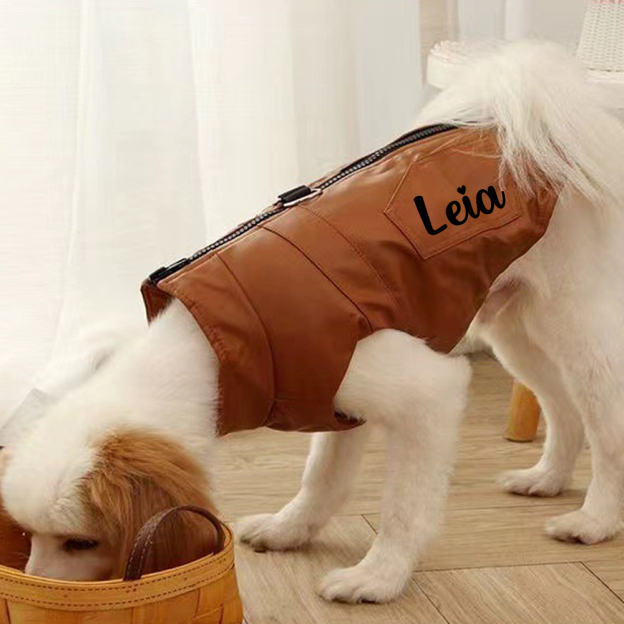 Personalized Pet Winter Warm Windproof Leather Jacket | BKPet361