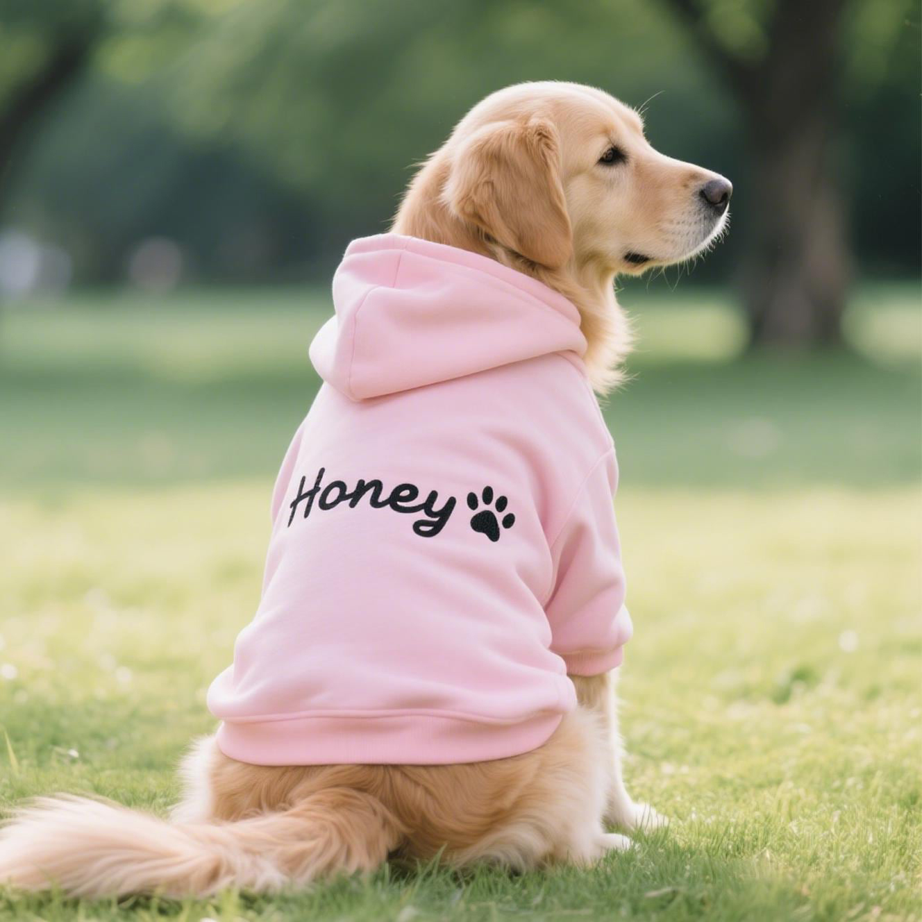 Personalized Embroidery Warm Soft Puppy Hoodie | BKPet362