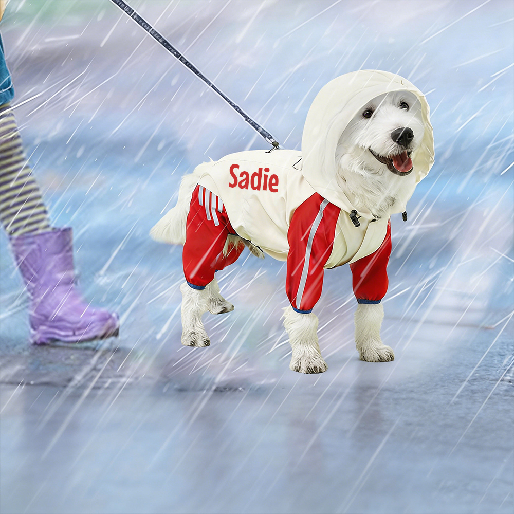 Personalized Pet Waterproof Raincoat with Hood | BKPet366