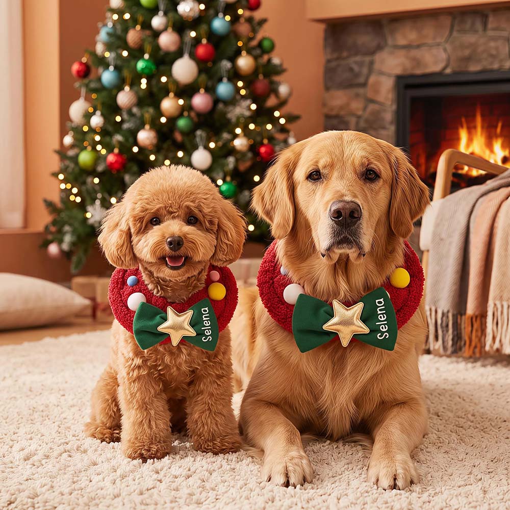 Personalized Christmas Wreath Dog Collar Scarf | MNAccs128