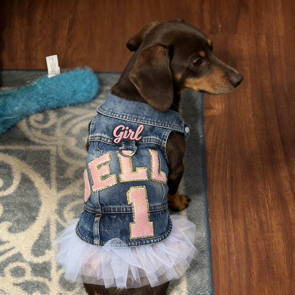 Personalized Hand Patch Pets Denim Jacket with TUTU Skirt | BKPet424