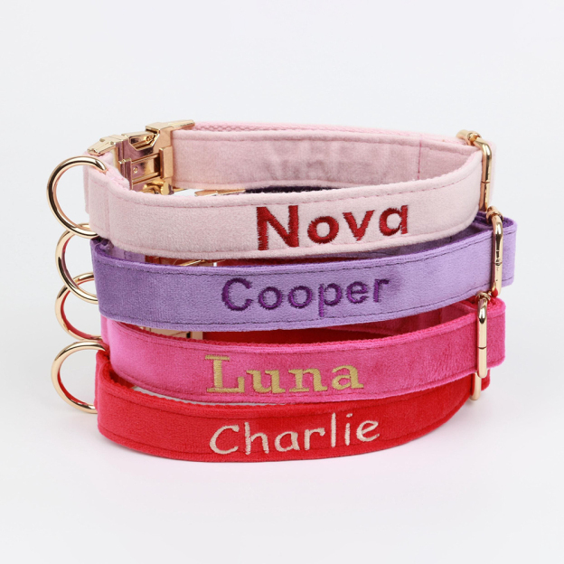 Personalized Embroidered Adjustable Velvet Pet Collar | BKPet425
