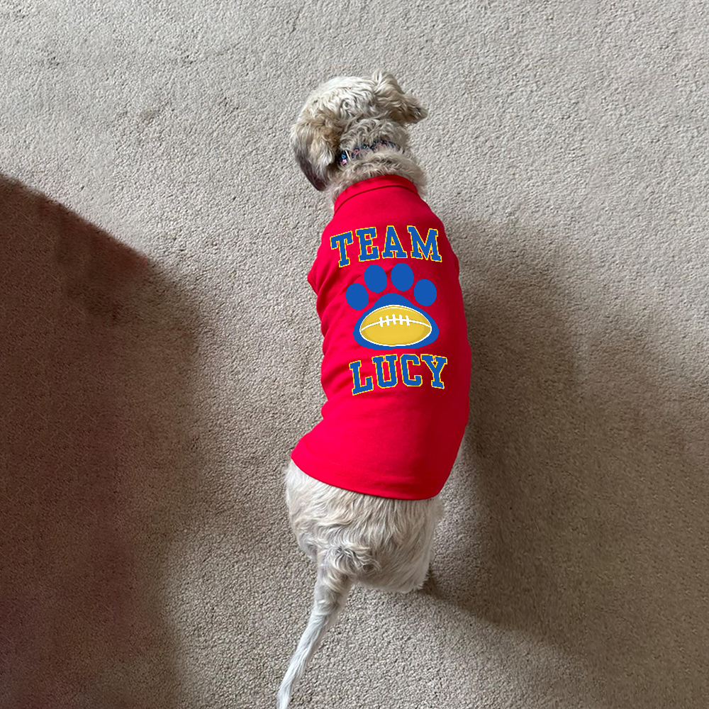 Personalized Football Team Pet Paw Soft Shirt | BKPet426