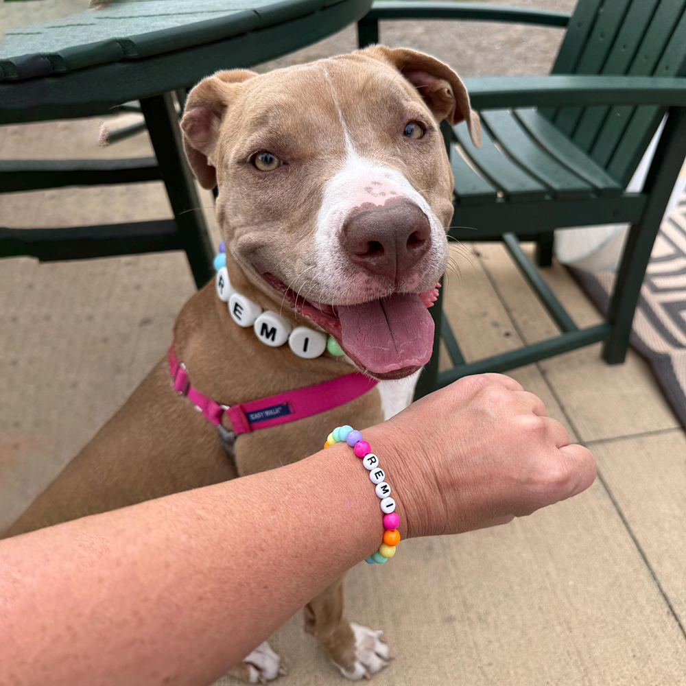 Personalized Handmade Matching Pet Necklace & Owner Bracelet | BKPet456