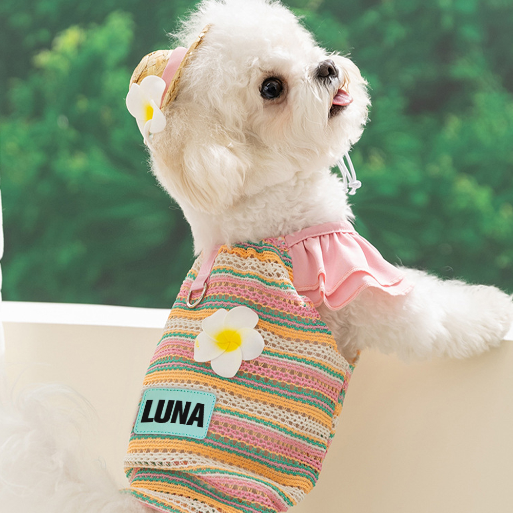 Personalized Colourful Leather Patch Pet Mesh Ruffled Shirt | BKPet467