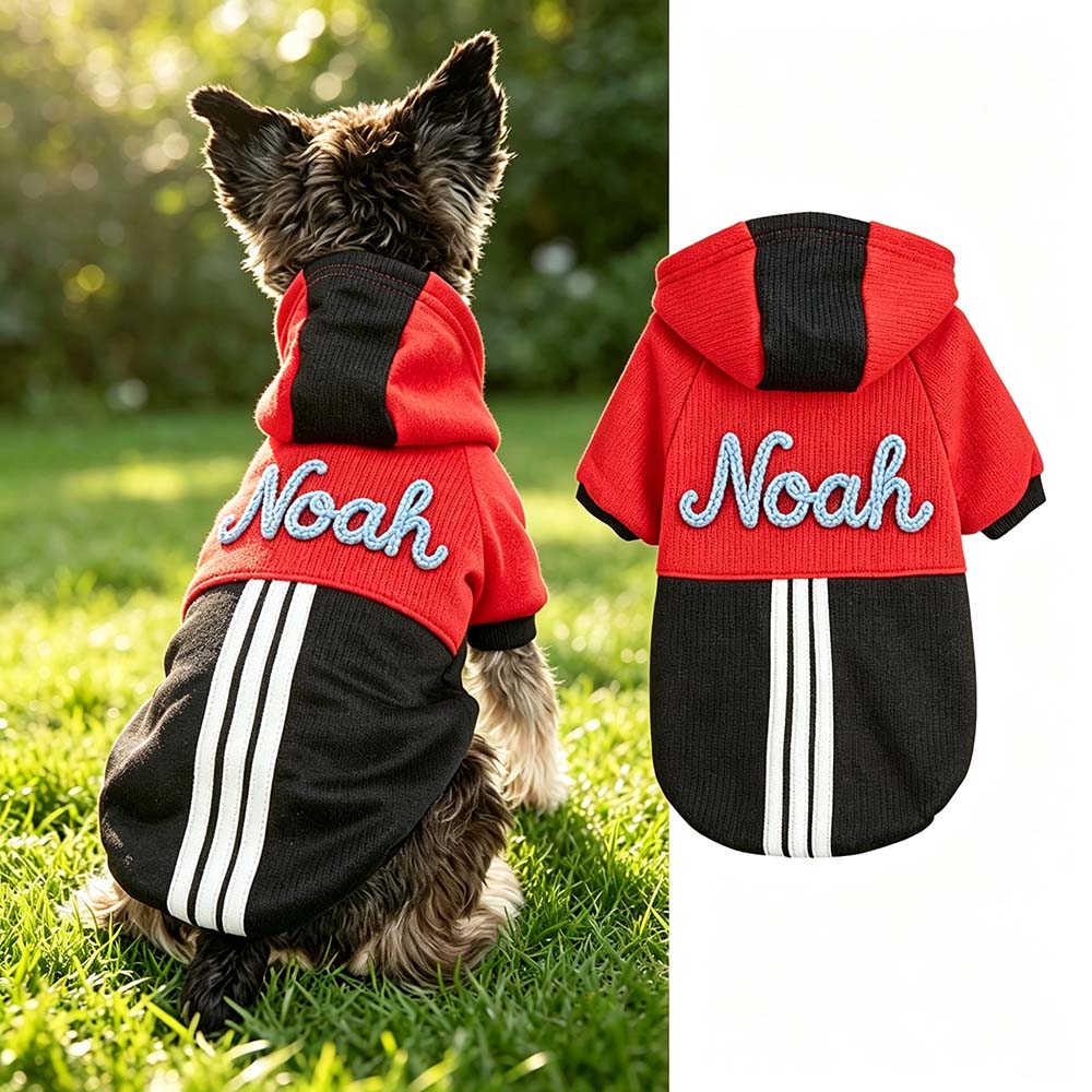 Personalized Hand Embroidered Color-blocked Hooded Pet Sweatshirt | BKPet577