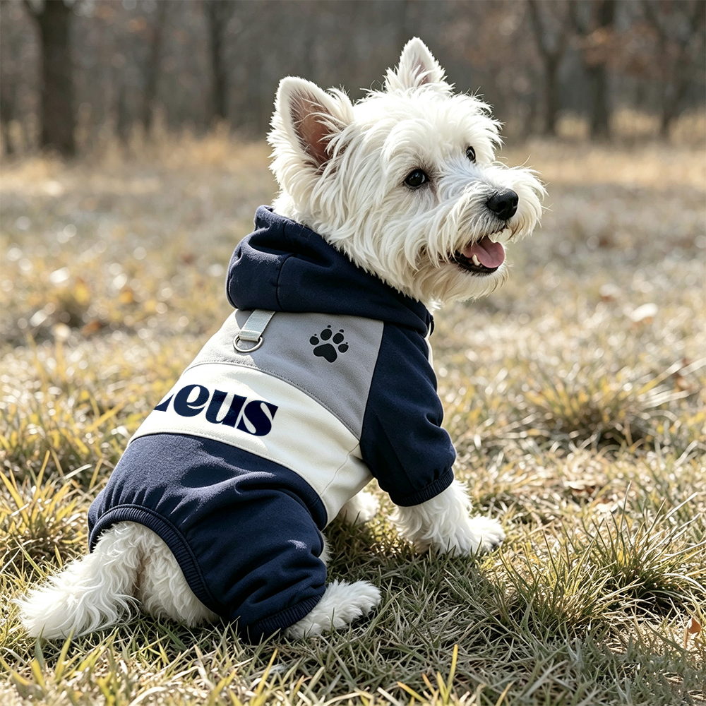Personalized Winter Warm & Windproof Color-Blocked Cotton Coat For Pets | BKPet592