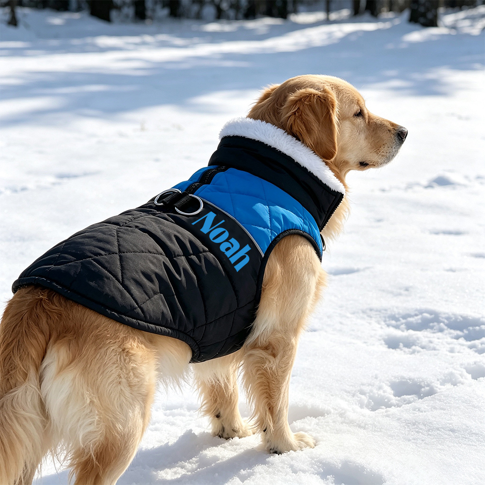 Personalized Winter Pet Fleece-Lined Color-Blocked Vest | BKPet597