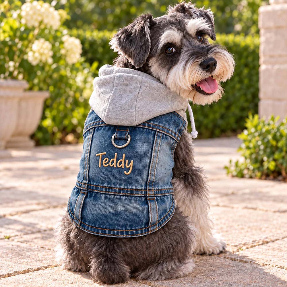 Personalized Embroidered Denim Pets Hoodie Vest | BKPet635