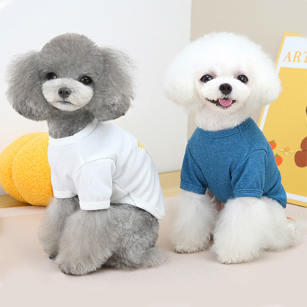 Personalized Pet Cute Comfort Shirt | BKPet178