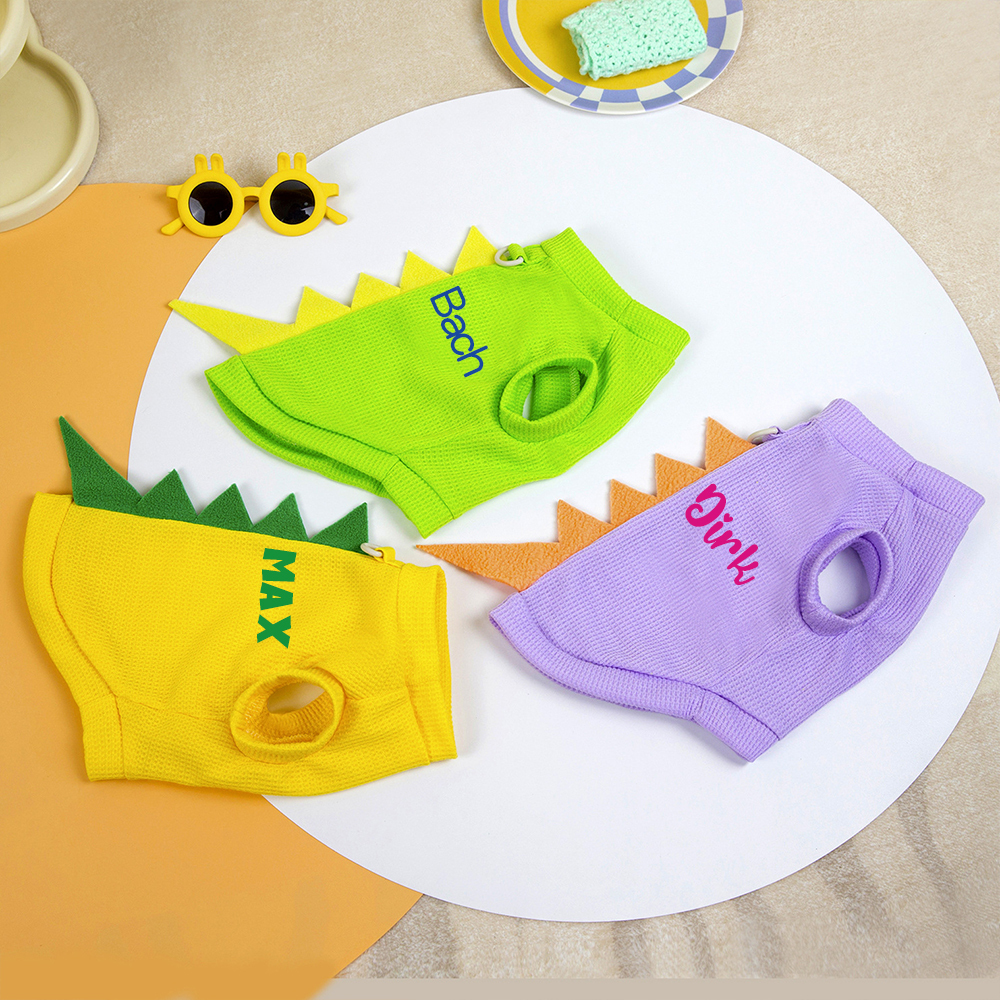 Personalized Pet Summer Lovely Dinosaur Shirt | BKPet179