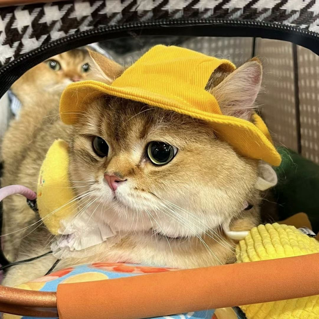 Personalized Embroidery Adjustable Pet Sun Bucket Hat | BKPet183