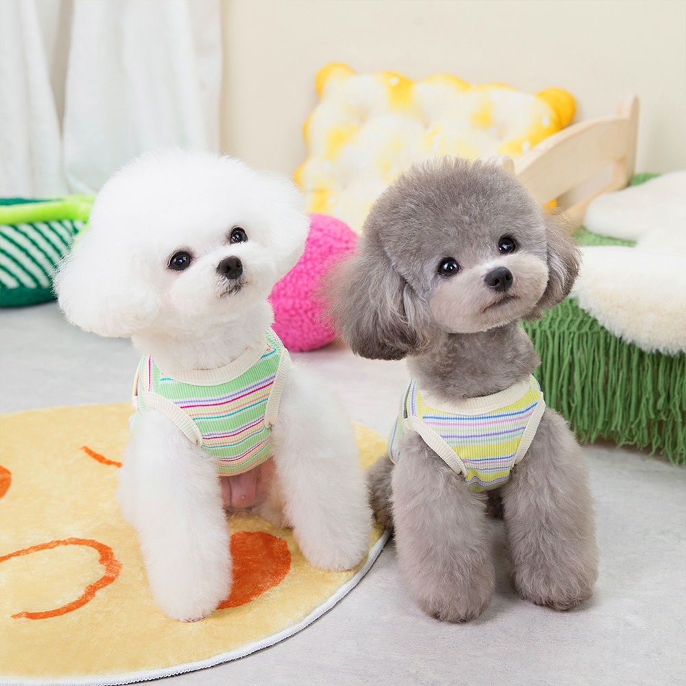 Personalized Cute Stripe Pet Summer Cool Vest | BKPet204