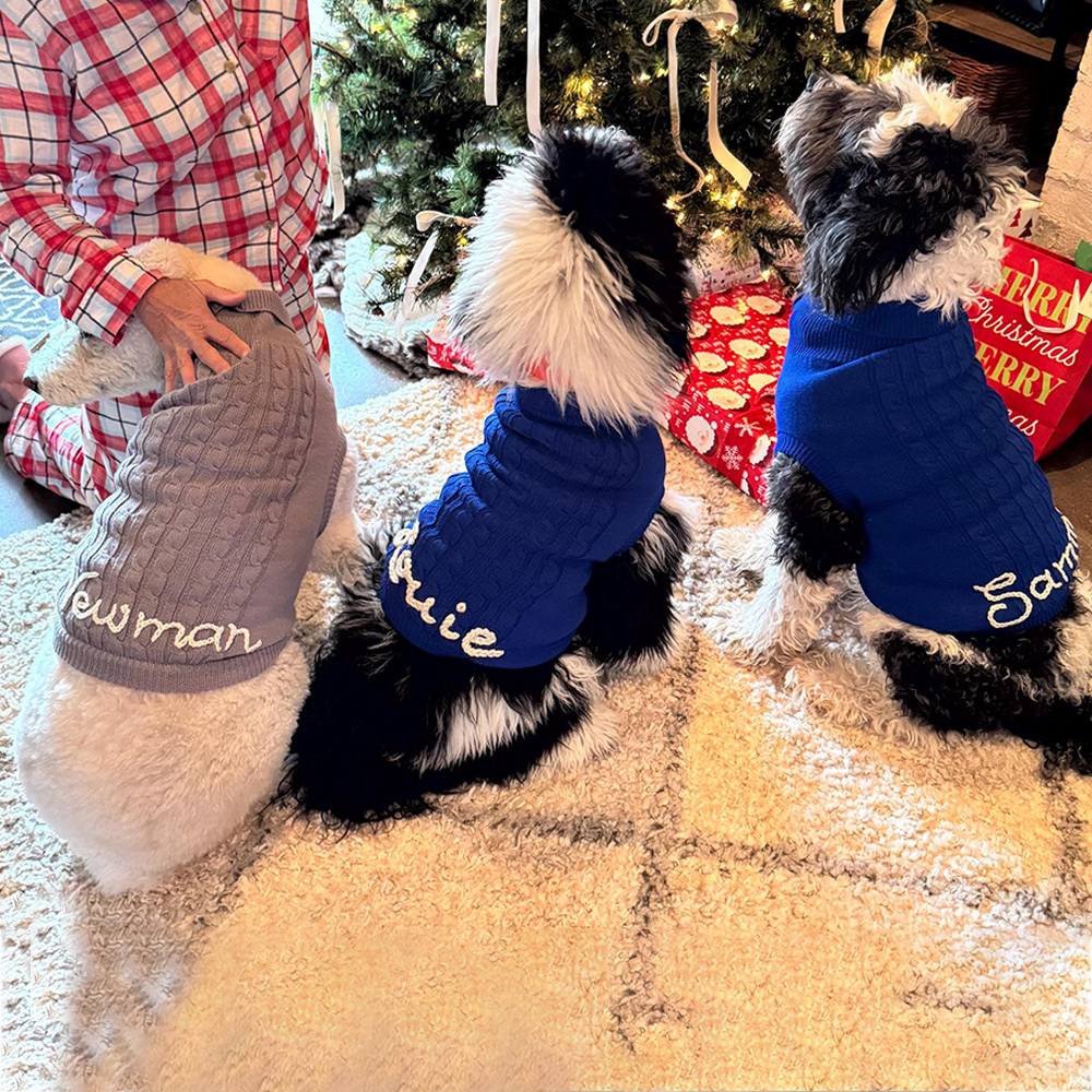 Personalized Hand Embroidery Pets Colourful Sweater | BKPet233