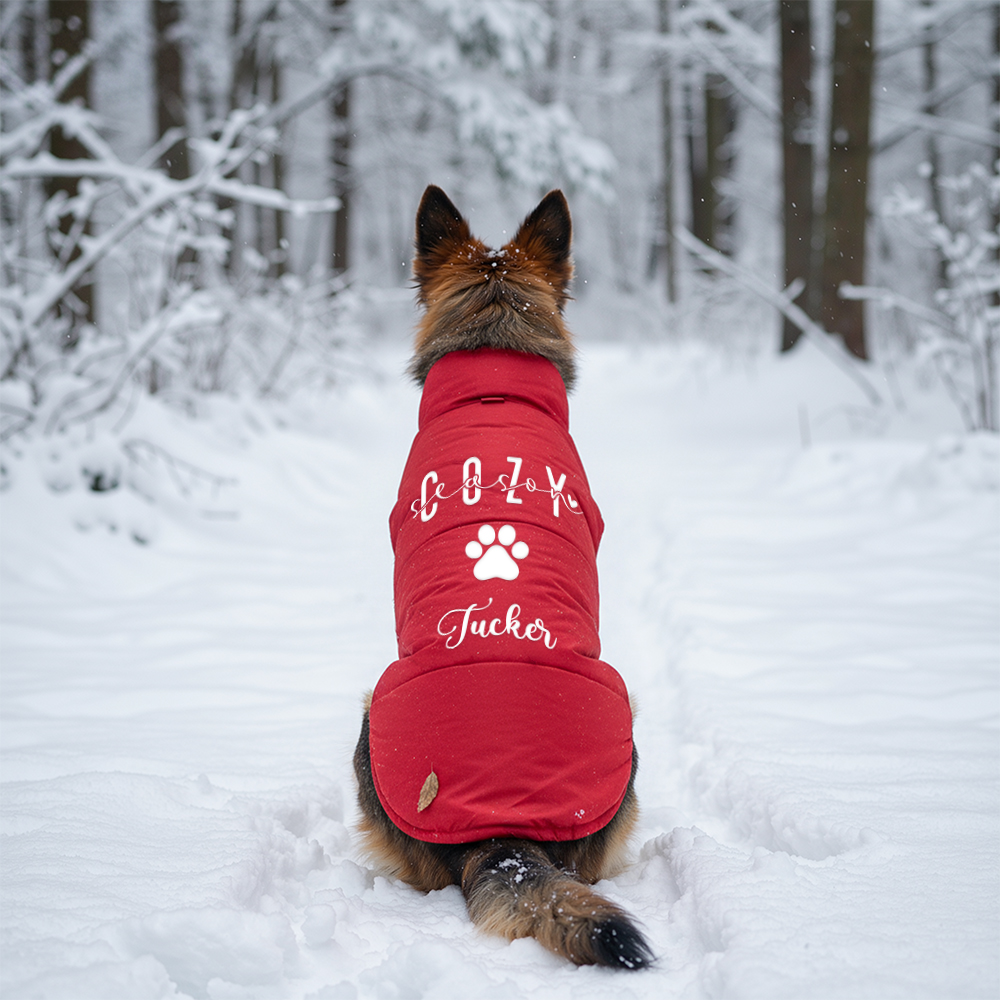 Personalized Pet Winter Warm Windproof Large Puffer Jacket | BKPet279