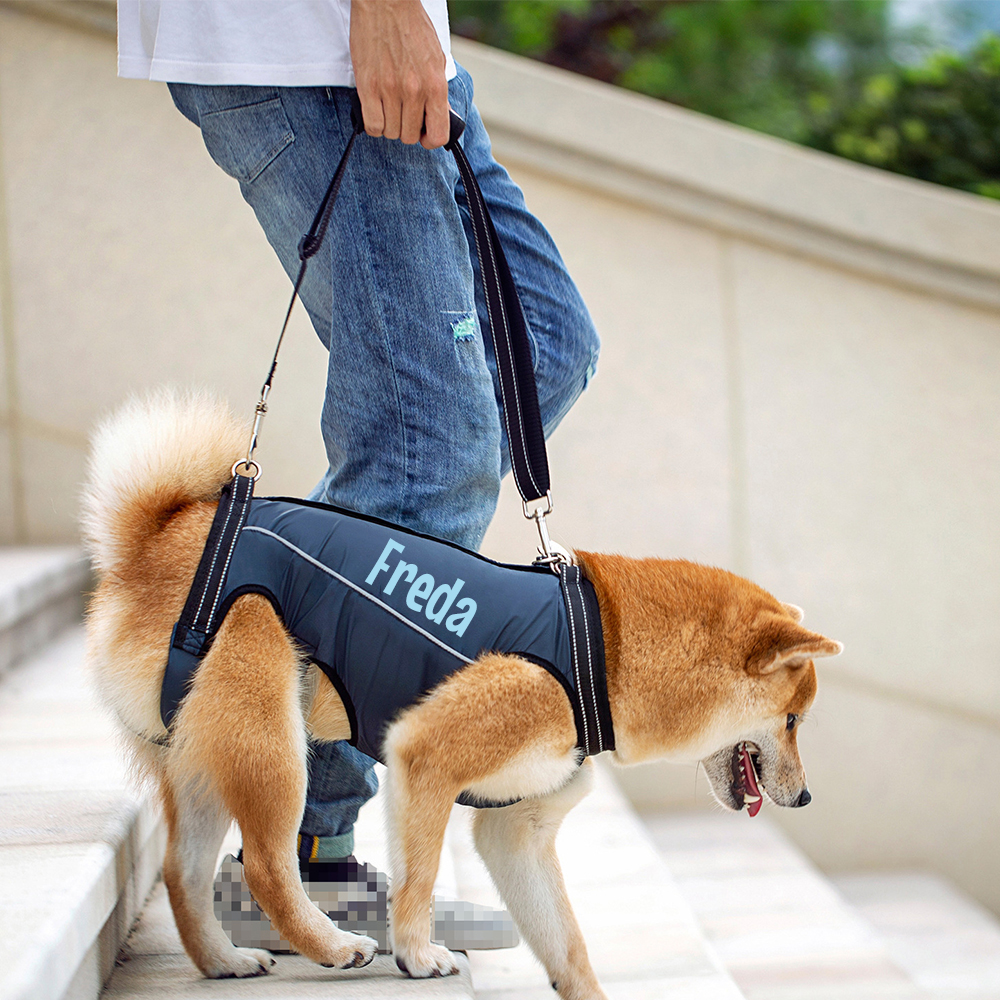Personalized Adjustable Pet Lifting Harness Breathable Full Body Support | BKPet309