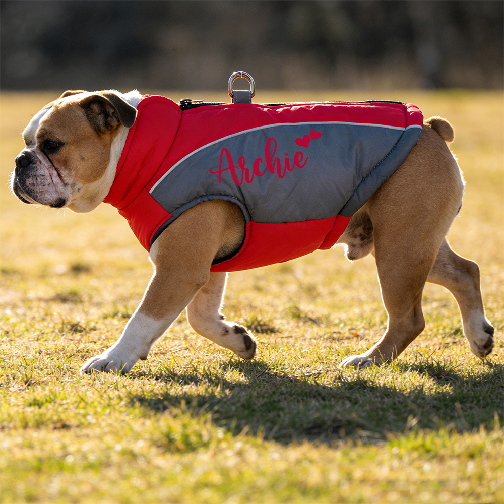 Personalized Pet Winter Warm Windproof Puffer Jacket | BKPet349