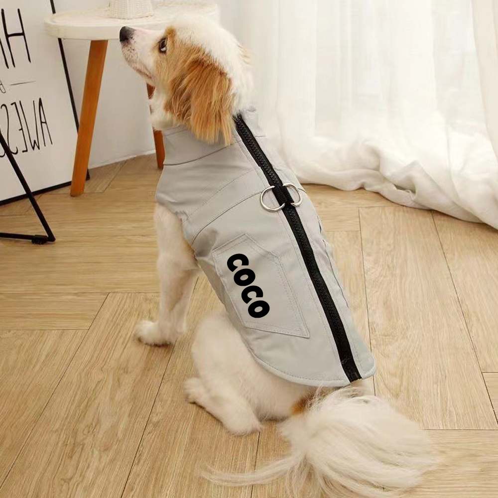 Personalized Pet Winter Warm Windproof Leather Jacket | BKPet361