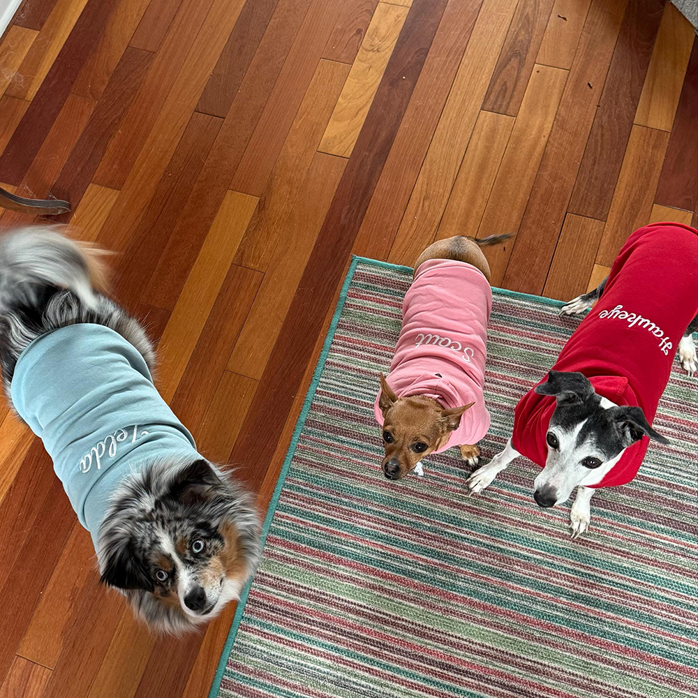 Personalized Embroidery Warm Soft Puppy Hoodie | BKPet362