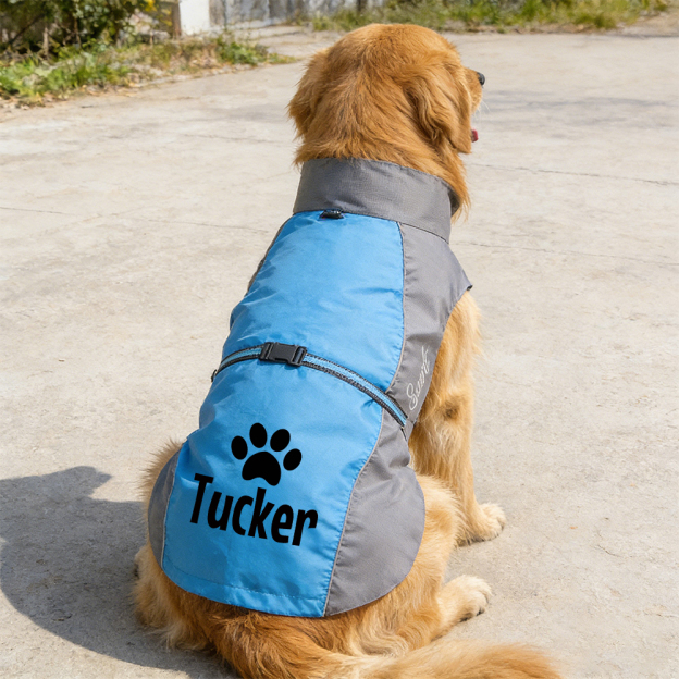 Personalized Pet Large Size Waterproof Raincoat Jacket | BKPet414