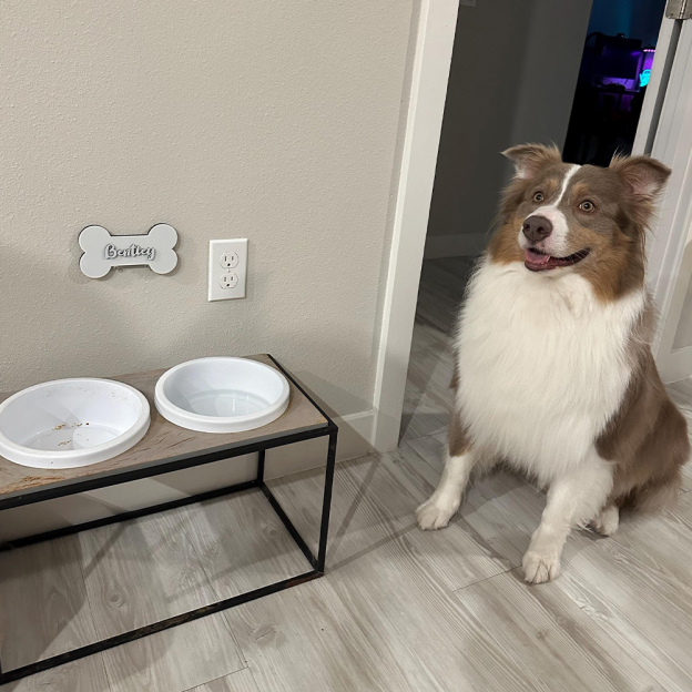 Personalized Dog Paw Name Crate Sign | BKPet426