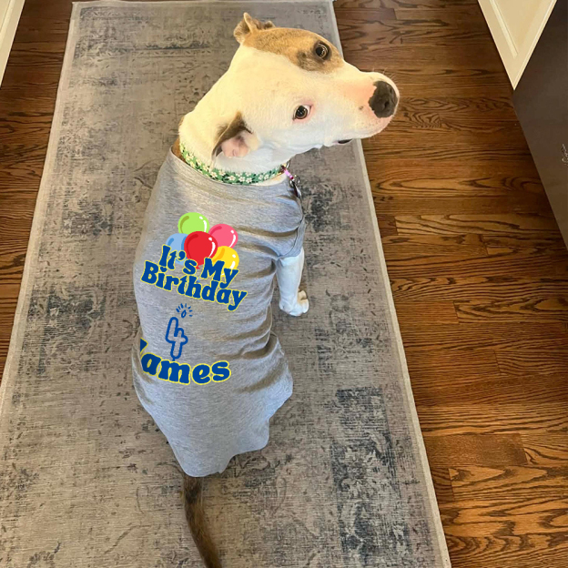 Personalized It’s My Birthday Pet Shirt | BKPet449