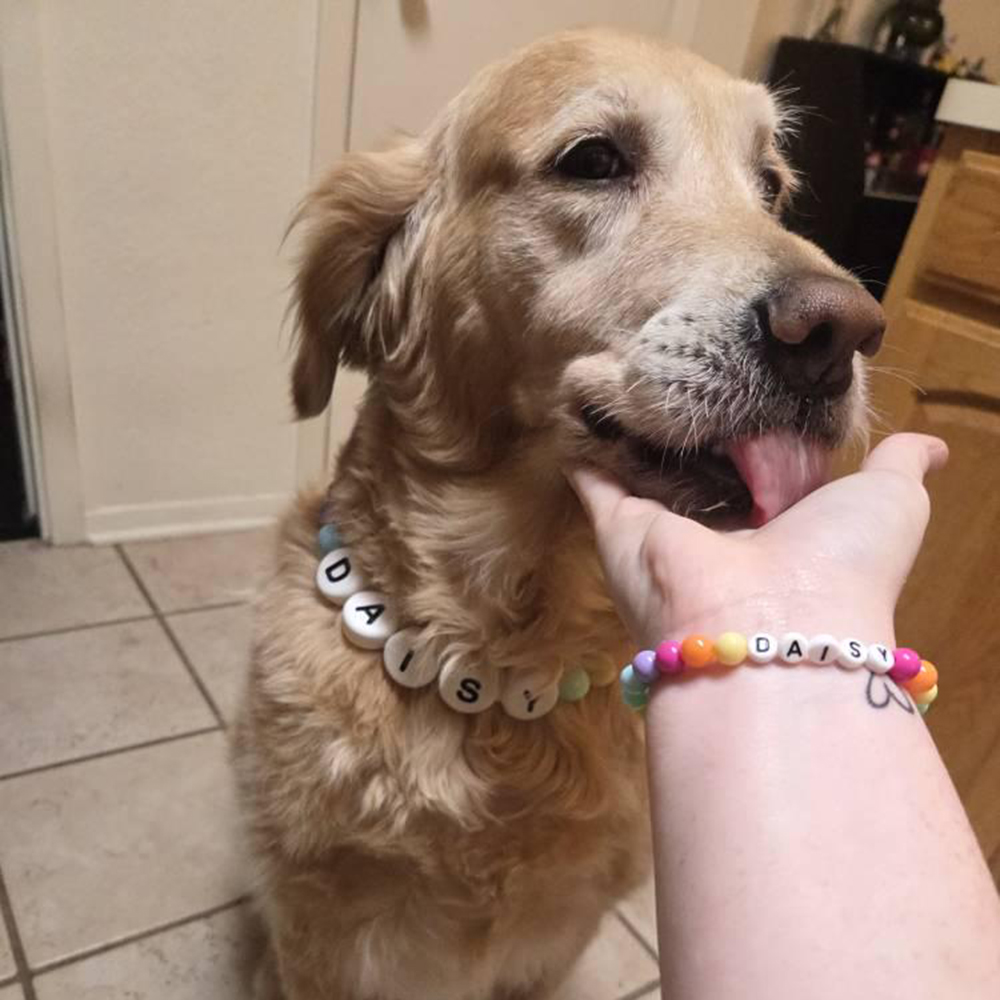 Personalized Handmade Matching Pet Necklace & Owner Bracelet | BKPet456