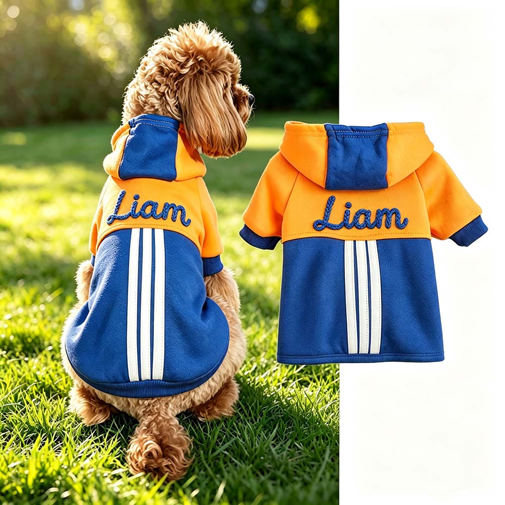 Personalized Hand Embroidered Color-blocked Hooded Pet Sweatshirt | BKPet577