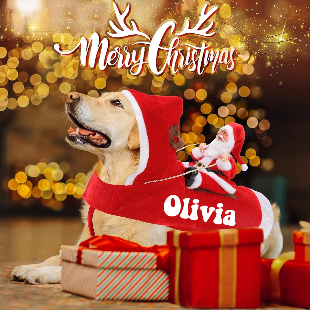 Personalized Christmas Santa Pet Riding Clothes | BKPet96