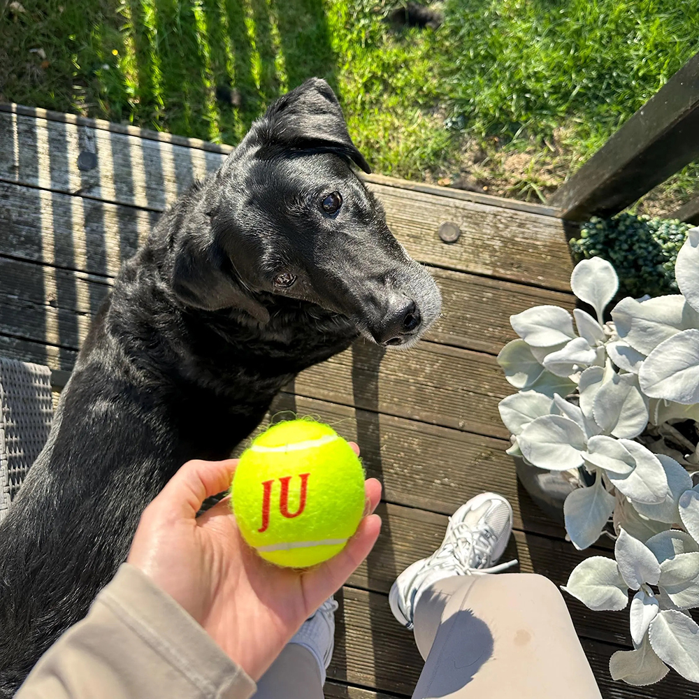 Personalized Pet Tennis Ball Toy | BKPet137