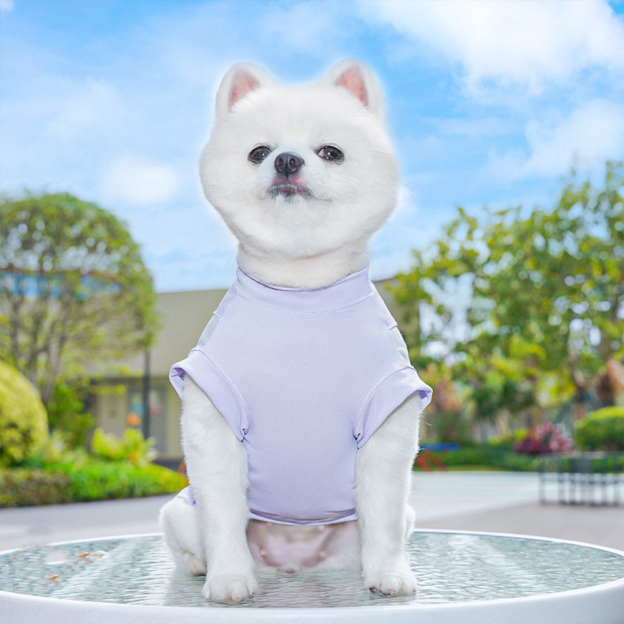 Personalized Pet Summer Cooling Quick-Drying Vest | BKPet155