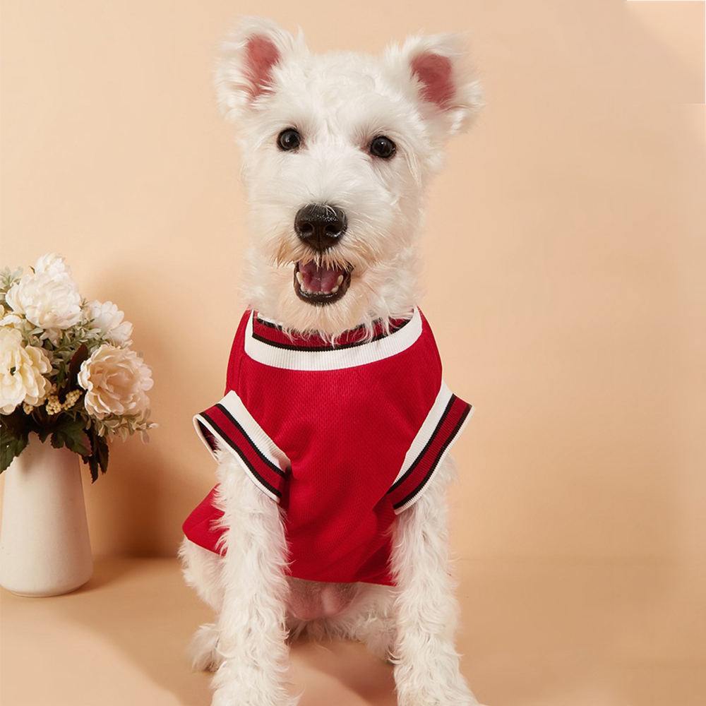 Personalized Pet Basketball Breathable Sport Jersey | BKPet169