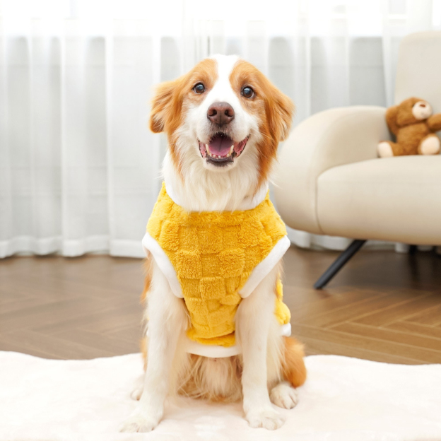 Personalized Warm Plush Dog Winter Coat | BKPet202