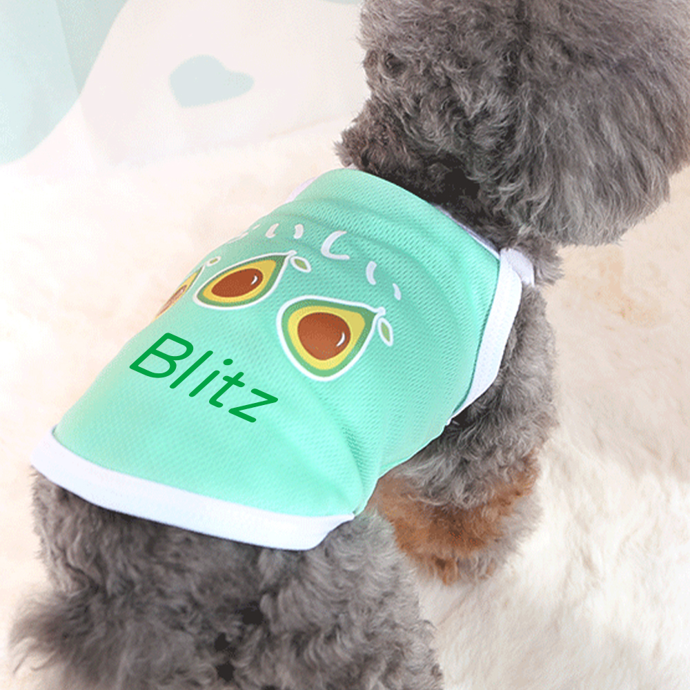 Personalized Cute Breathable Pet Summer Cool Mesh Vest | BKPet205
