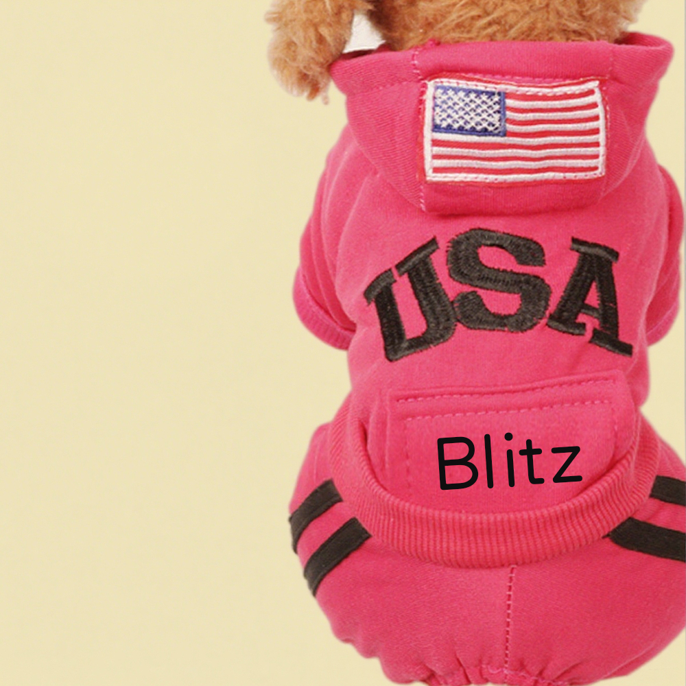 Personalized Leather Patch Pet Warm Puffer Hoodie with Pants | BKPet230
