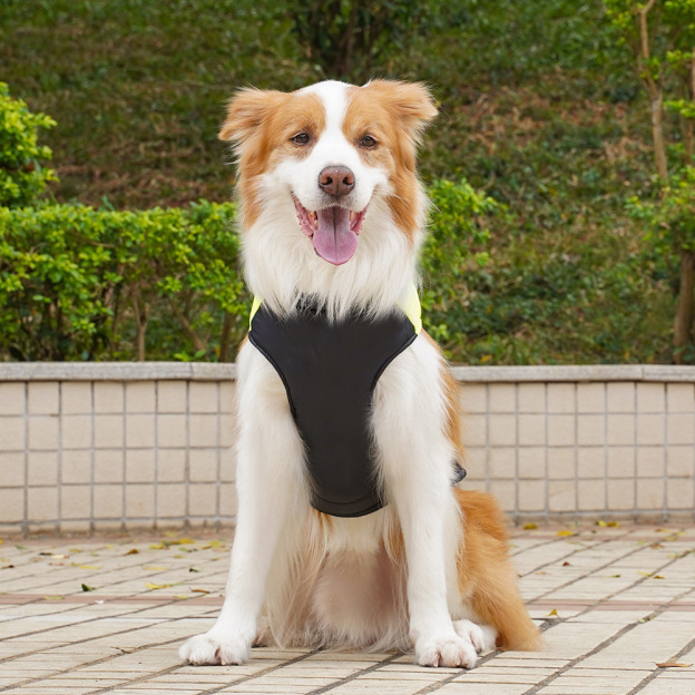 Personalized Pets Warm Puffer Vest | BKPet14701