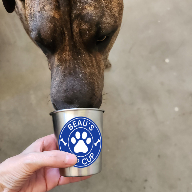 Personalized Pet Stainless Steel Reusable Pup Cup Mug | BKPet26301