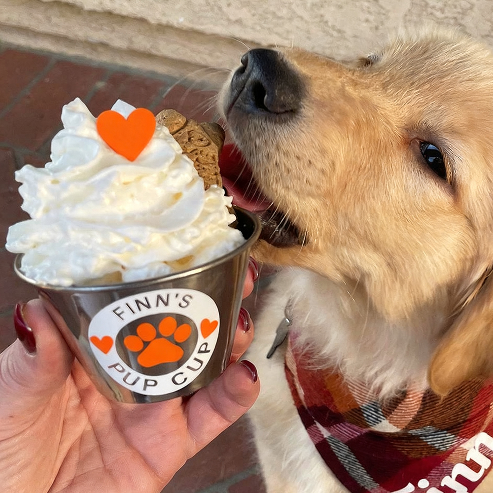 Personalized Valentine’s Day Pet Gift Pup Cup Mug | BKPet285