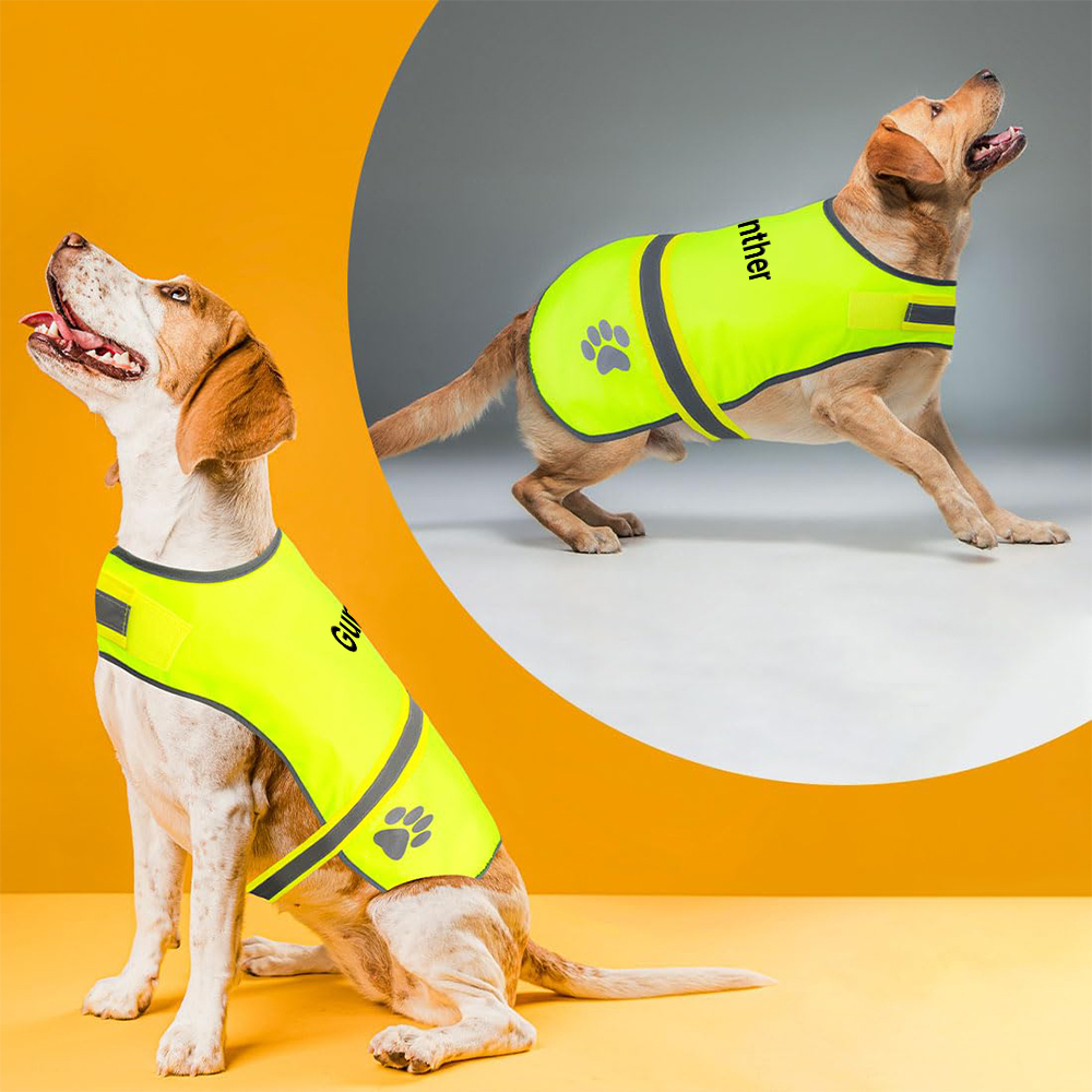  Personalized Embroidered Pet Safety Vest| BKPet293