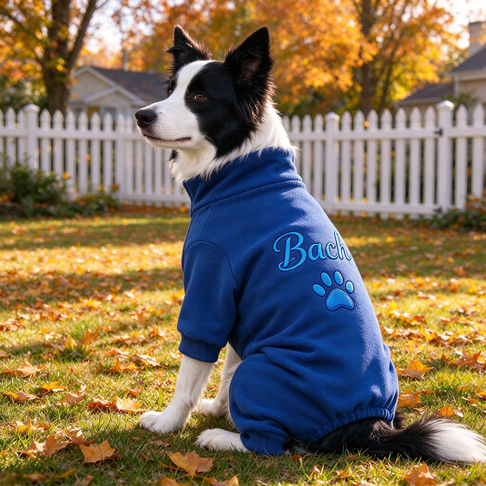Personalized Hand Embroidery Pets Winter Warm Four-Legged Jumpsuit | BKPet610