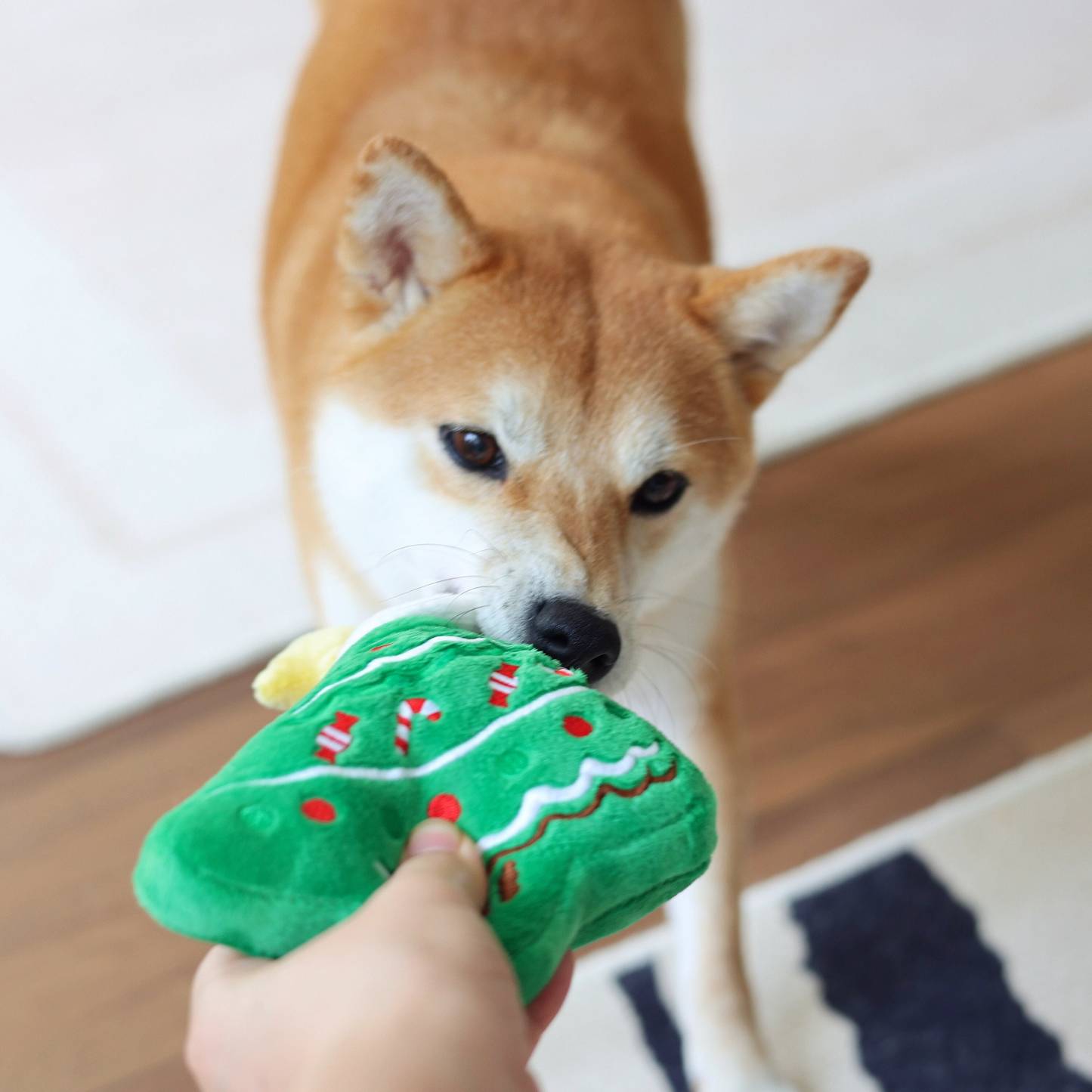 Christmas Tree Dog Plush Squeaky Toys | BKPet133