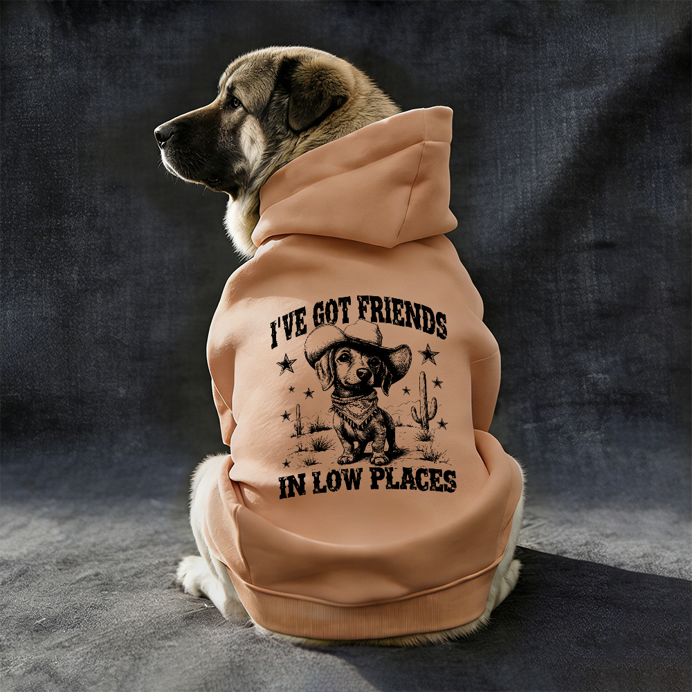 I'VE GOT FRIENDS Puppy Hoodie | MNCloth151
